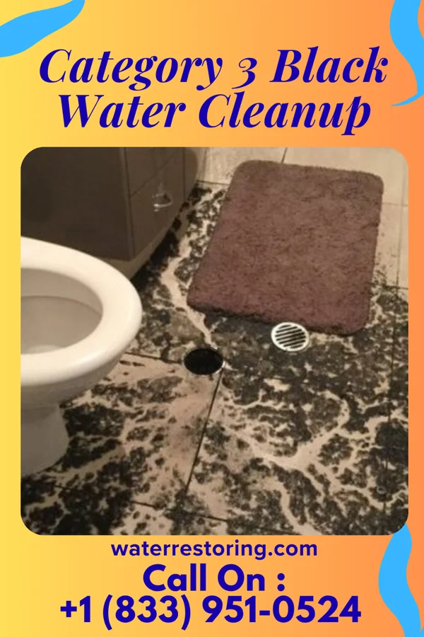 Category 3 Black Water Cleanup in Woodworth, LA